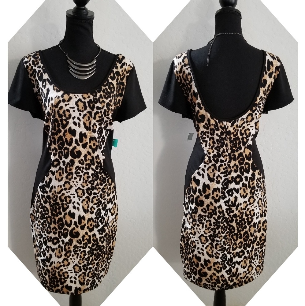 🆕 Janette Plus Dress Plus Size 2XL